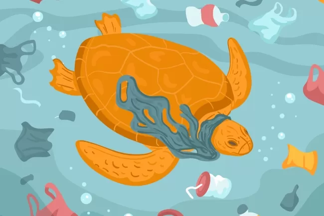 What Are Microplastics In The Ocean and how they are Impacting us?