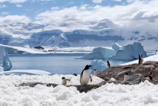Surviving the Coldest Places on Earth: Unveiling the Top 5 Extreme Environments and Human Resilience...!!!