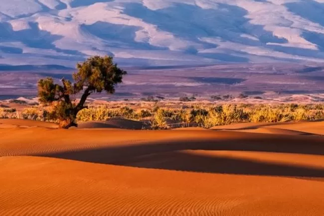 Exploring Earth's Largest Deserts: Wonders of Extremes...!!!