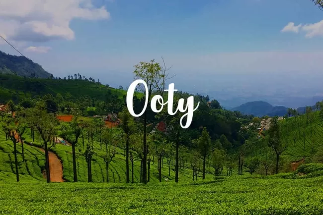 Ooty: A Journey into Tranquil Bliss.