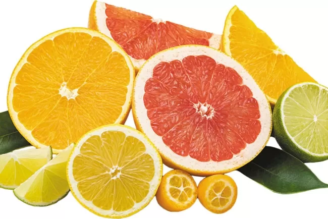 A Juicy Exploration into the World of Citrus Fruits...!!!