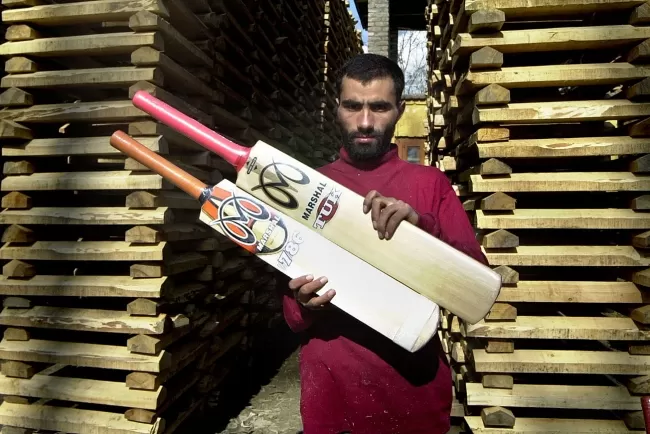The Art of Crafting Cricket Bats: Blending Tradition with Technology...!!!