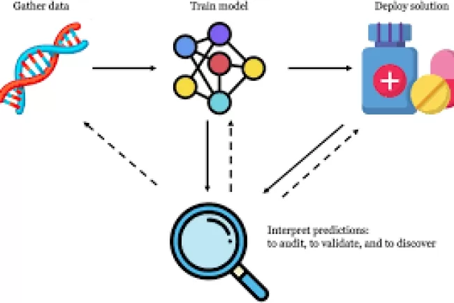 Unlocking the Secrets of Reinforcement Learning: Modular Interpretability and Community Detection in RL Networks