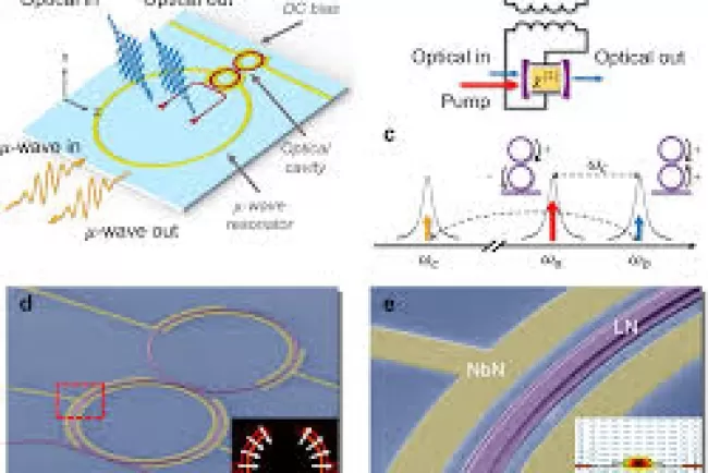 Detecting Critical Resonances and Stability Margins in Microwave Amplifiers: A Comprehensive Guide