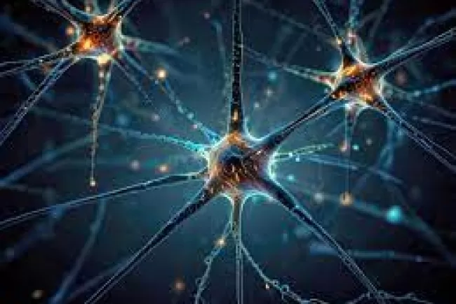 The Electrical Language of Nerve Cells: Understanding Neural Signaling