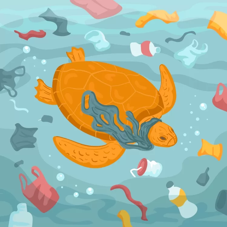 What Are Microplastics In The Ocean and how they are Impacting us?