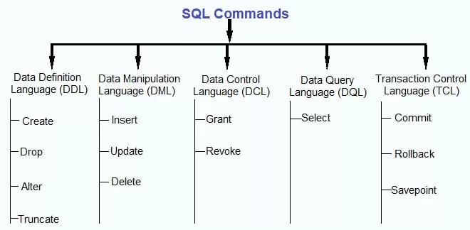 Top SQL Concepts