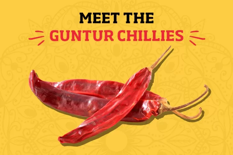 Guntur Mirchi: The Fiery Spice of Andhra Pradesh