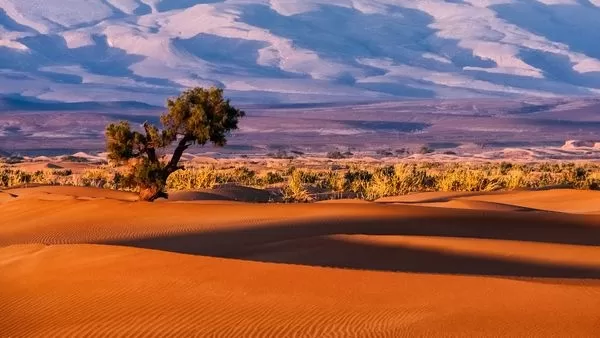 Exploring Earth's Largest Deserts: Wonders of Extremes...!!!