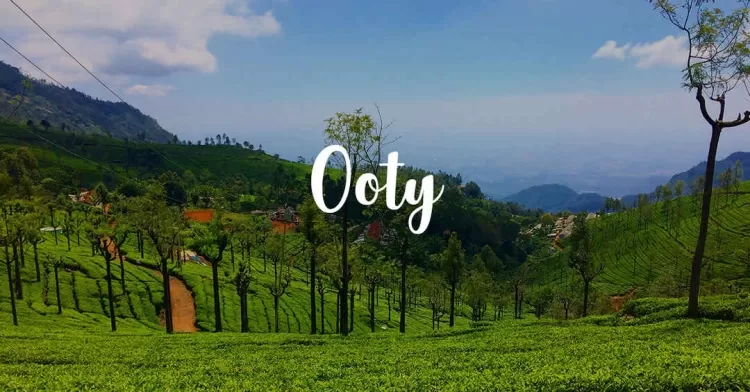 Ooty: A Journey into Tranquil Bliss.