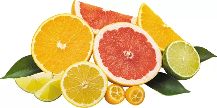 A Juicy Exploration into the World of Citrus Fruits...!!!