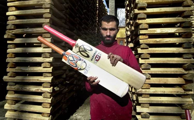 The Art of Crafting Cricket Bats: Blending Tradition with Technology...!!!