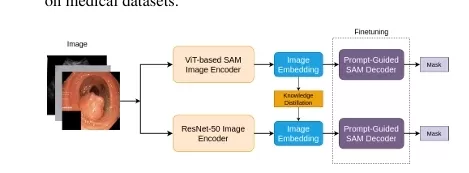 Efficient Knowledge Distillation of SAM for Medical Image Segmentation