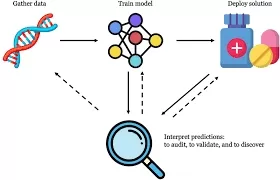 Unlocking the Secrets of Reinforcement Learning: Modular Interpretability and Community Detection in RL Networks