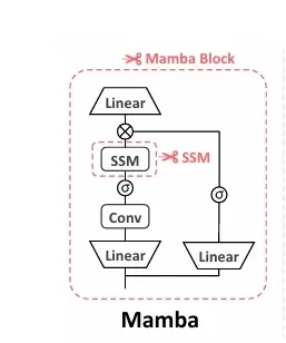 Boosting Efficiency in Sequence Modeling: Introducing Mamba-Shedder for Structured State Space Models