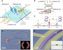 Detecting Critical Resonances and Stability Margins in Microwave Amplifiers: A Comprehensive Guide