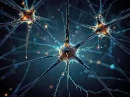 The Electrical Language of Nerve Cells: Understanding Neural Signaling