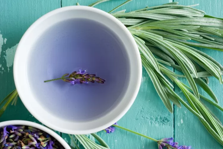 "Lavender Tea: Your Daily Dose of Calm."