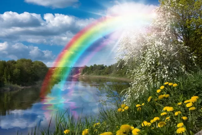 "Nature's promise in every arc."