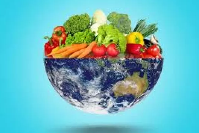 How a Vegan Diet Drastically Reduces Environmental Impact: A New Study Unveiled