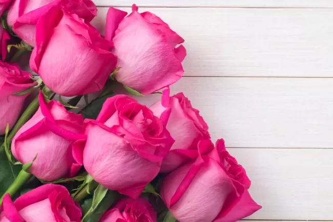 "Roses that speak the language of the heart."