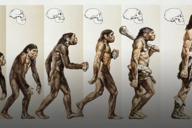 From Early Hominins to Civilization: The Journey of Ancient Human Beings...!!!