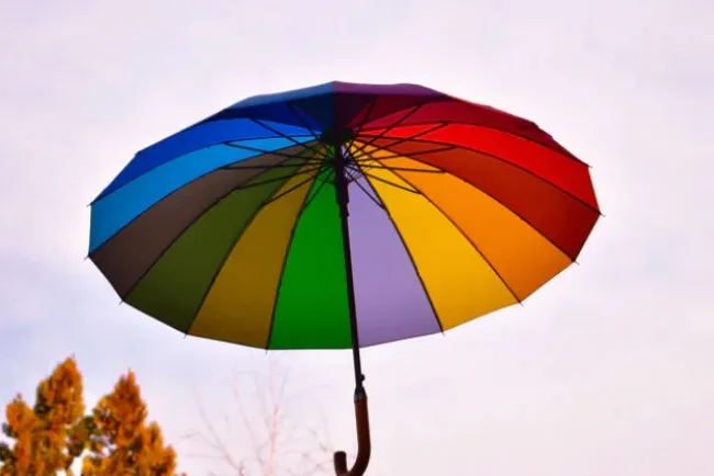 Umbrellas: From Ancient Symbols of Power to Modern Weather Protectors...!!!