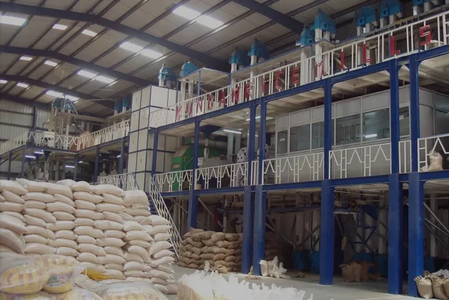 From Paddy to Plate: The Intricacies of Rice Mills...!!!