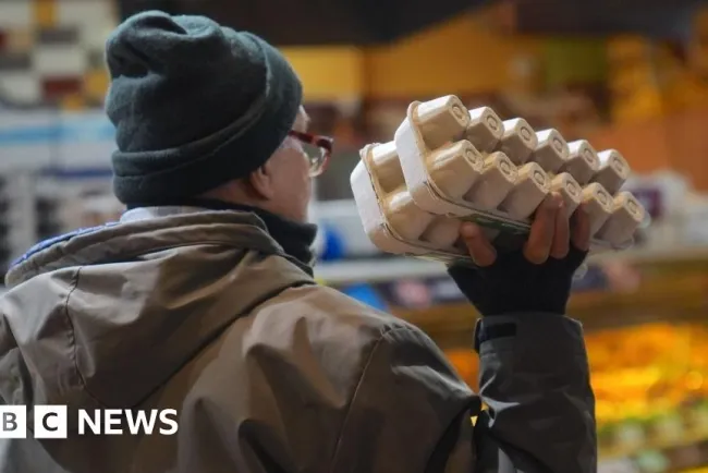 Egg Prices Soar in the United States: A Look at the Factors Behind the Surge