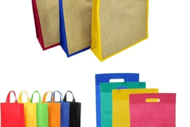 Carry Bags: Essential Accessories for All Occasion...!!!