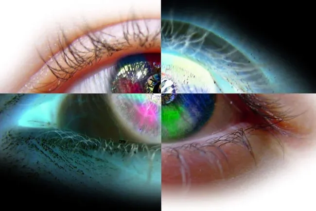 New AI-Driven Eye Research Could Revolutionize Disease Detection