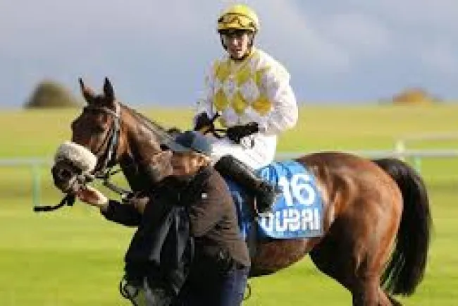 Horse Racing: Rules and Champions...!!!