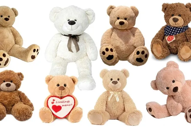 Exploring the Diverse World of Teddy Bears: Types, Sizes, and Colors...!!!