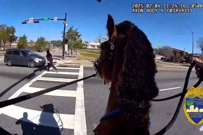 Florida Police on Horseback Chase Down Drug Suspect in Dramatic Pursuit