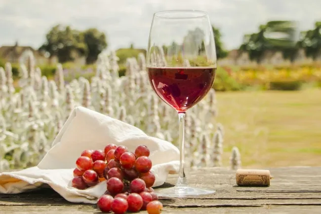 Exploring the Uses and Benefits of Top Red Wines...!!!
