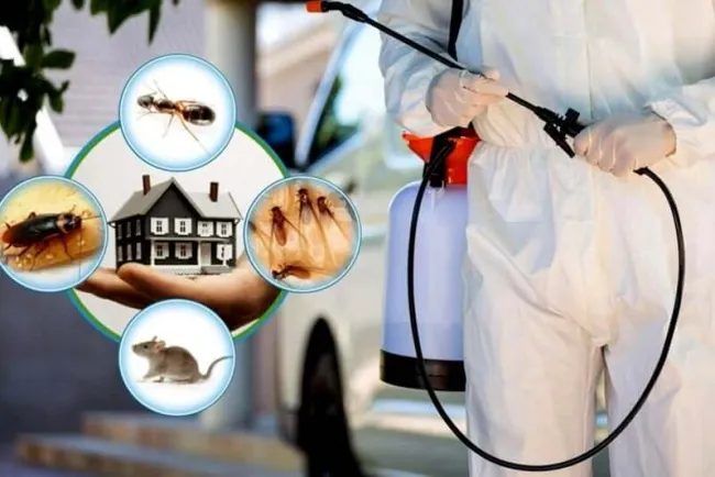 Insect Control Chemicals: Essential Tools for Agriculture, Health, and Home Protection...!!!