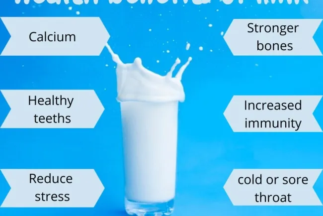 Milk: A Nutritional Powerhouse in Culinary Traditions...!!!