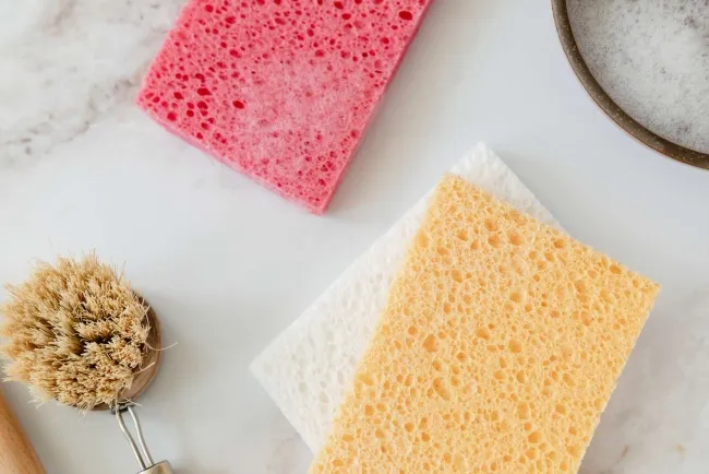 Uses of Sponges and How They Are Made...!!!