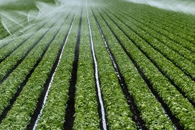 Exploring Watering Methods and Their Uses...!!!