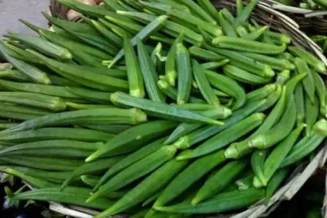 Lady's Finger Cultivation and Uses...!!!