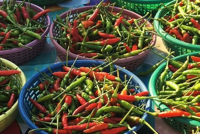 Uses of Green Chili and Red Chili...!!!
