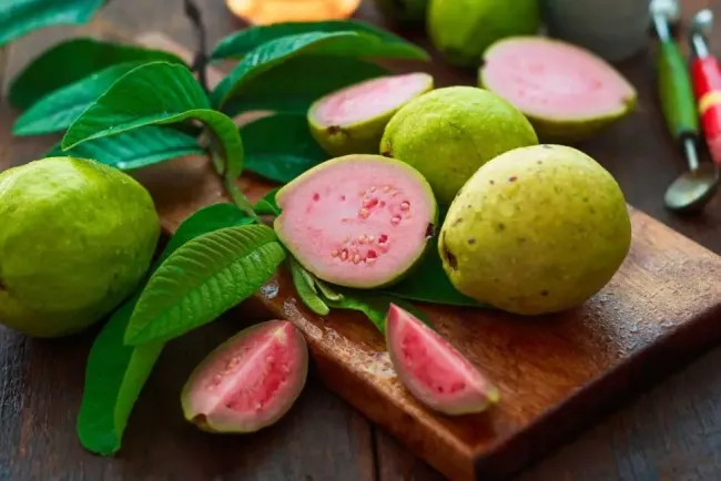 Uses of Guava...!!!