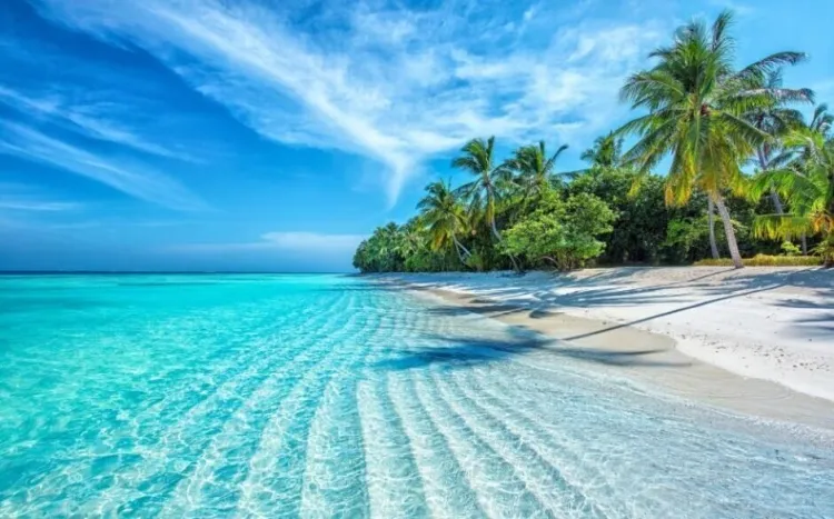 Must-Visit Places in the Maldives...!!!