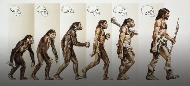 From Early Hominins to Civilization: The Journey of Ancient Human Beings...!!!