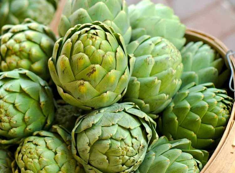 A Comprehensive Guide to Preparing and Using Artichokes in Cooking...!!!