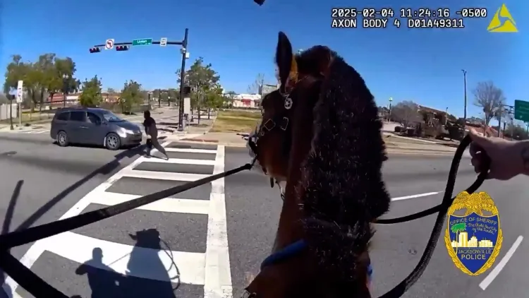 Florida Police on Horseback Chase Down Drug Suspect in Dramatic Pursuit