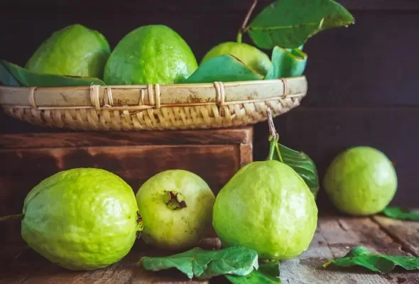 The Benefits and Drawbacks of Consuming Guava and Its Varieties: A Detailed Guide...!!!