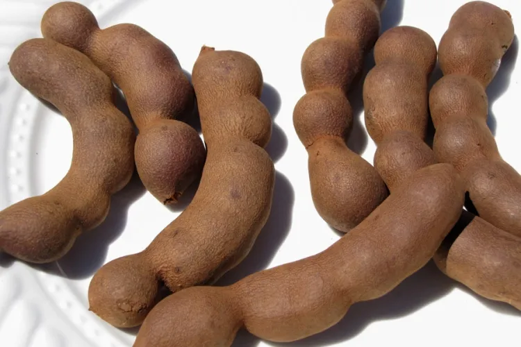 Exploring Tamarind Varieties, Their Uses, and Tamarind Pickles: A Comprehensive Guide...!!!