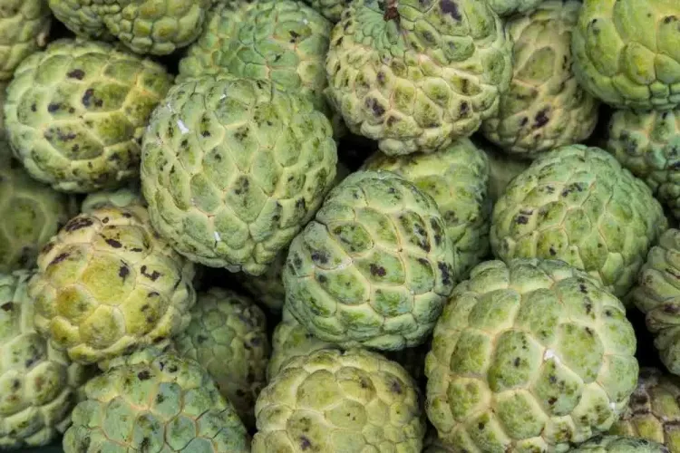 Custard Apple: A Delicious Way to Enhance Your Well-Being...!!!