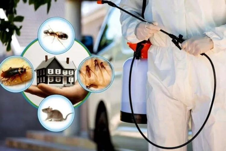 Insect Control Chemicals: Essential Tools for Agriculture, Health, and Home Protection...!!!